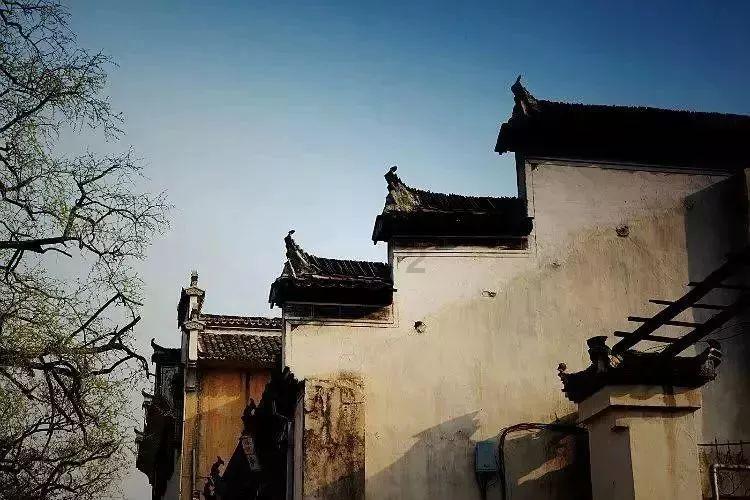 探索早秋曲江感怀这首诗的收获和体会?,发现无限乐趣!